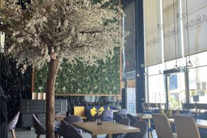 كافيه اميقو المدينة (السعر + المنيو + الموقع + آراء الناس)